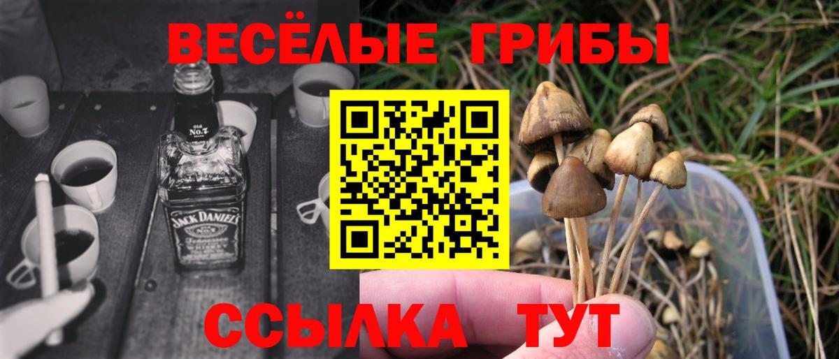 Калуга  Галлюциногенные грибы GOLDEN TEACHER  купить наркотик  Псилоцибиновые грибы ЛСД  Вход с VPN 